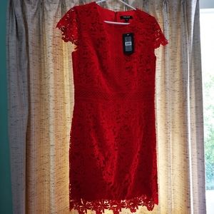 NWT Ever New Melbourne Red Bentley Lace Dress